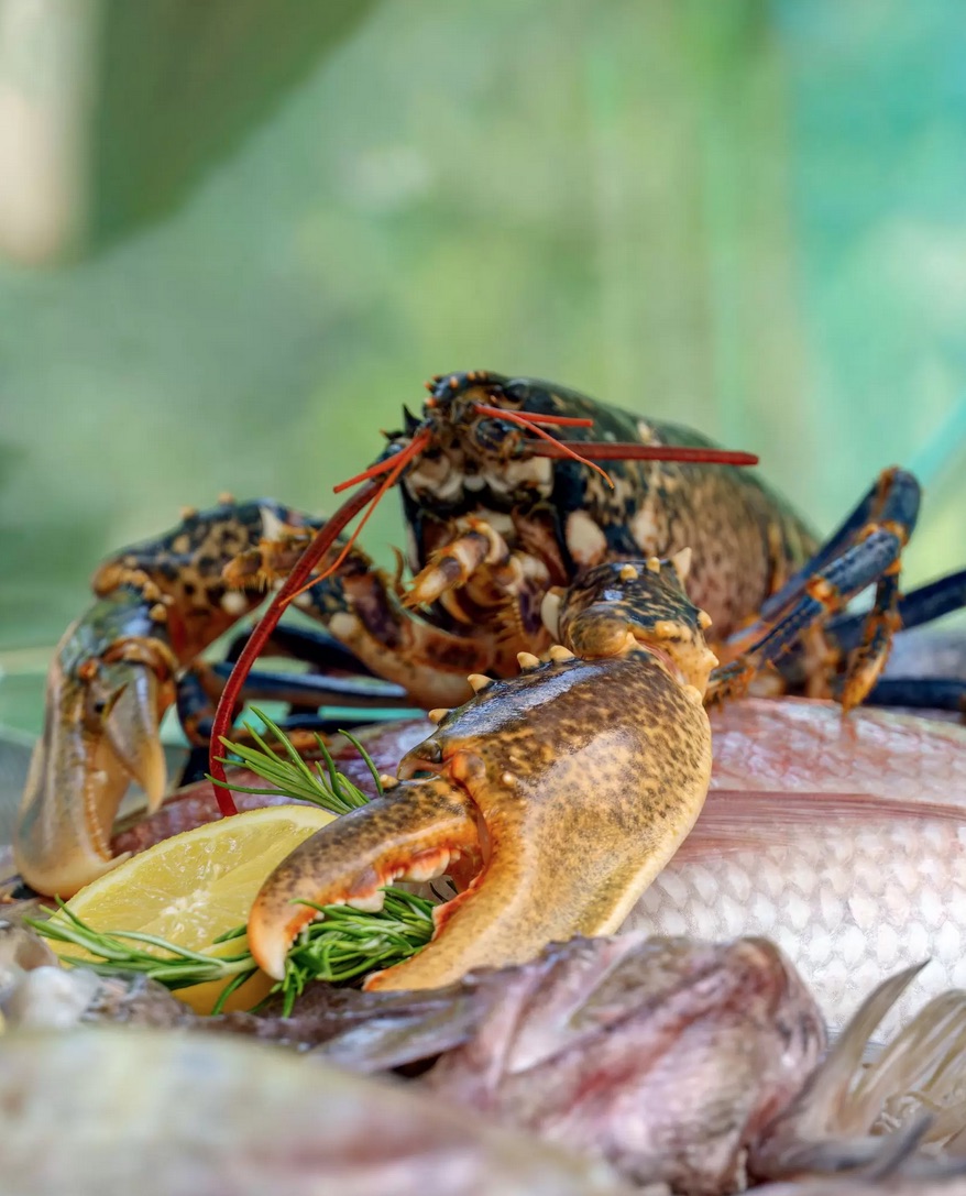Restoran Restaurant PANORAMA - Slika 2